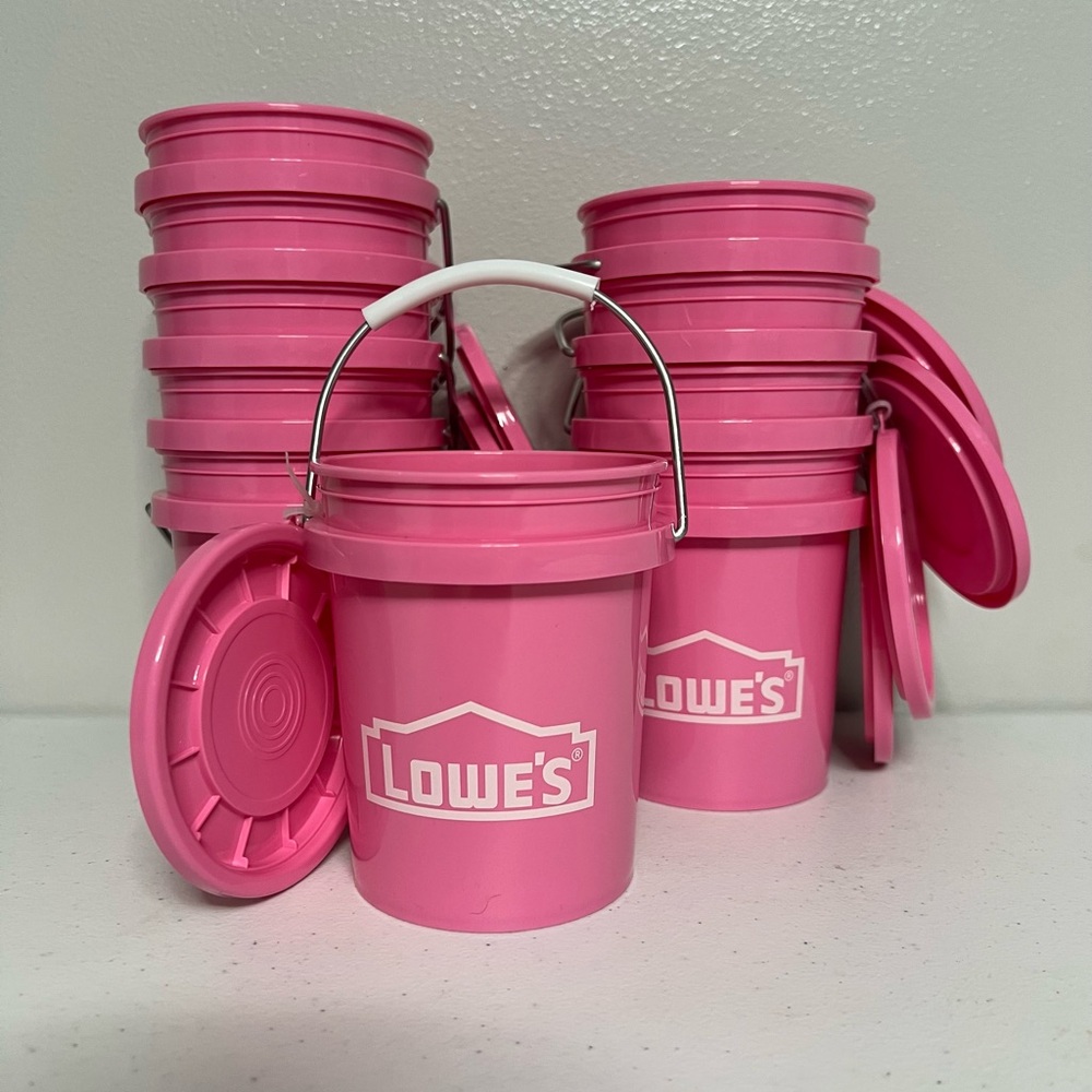 10 Lowe's Limited Edition Viral Mini Pink Buckets